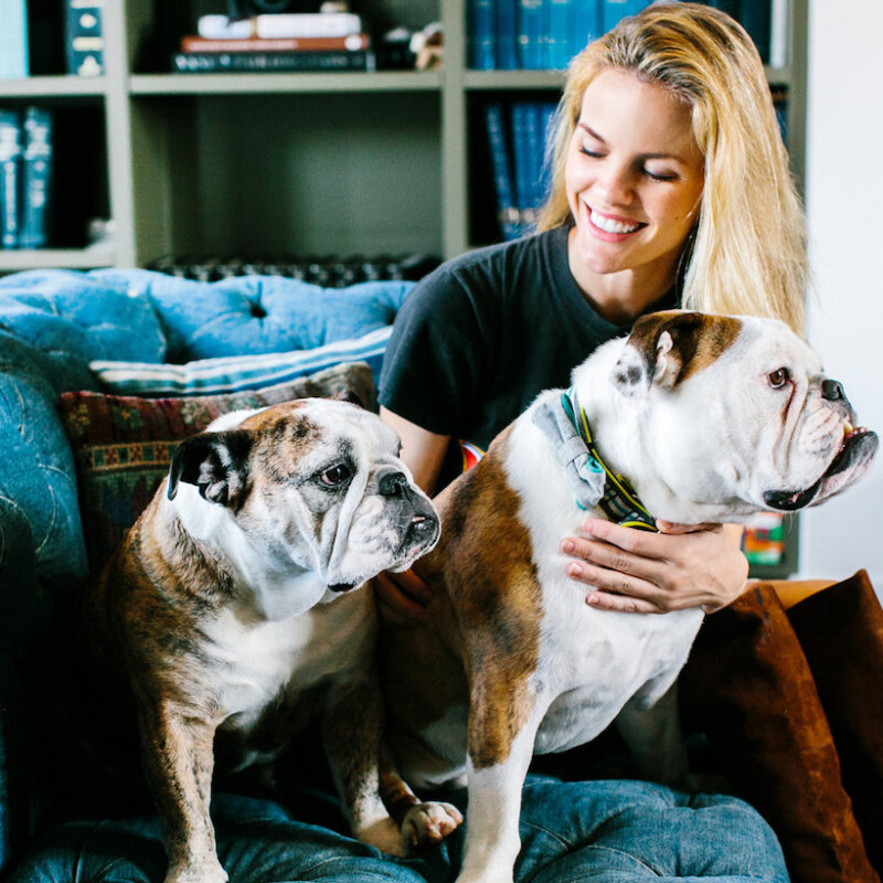 brooklyn decker dog pets