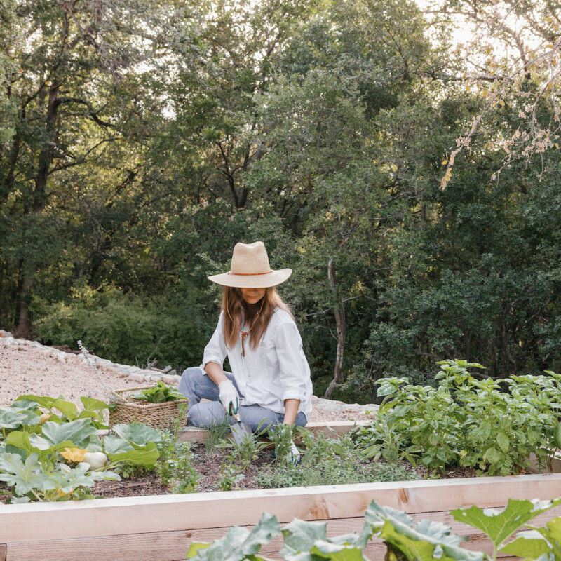 camille styles backyard - how to build raised garden beds - vegetable garden